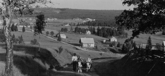 mountain quild - history