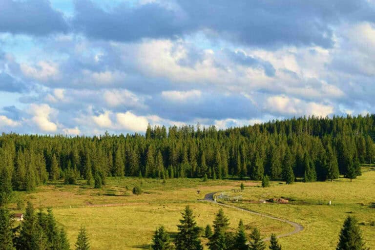 Úvod 17 vyhled pension helena honesova 2023